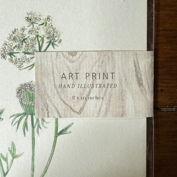 Hand Illustrated Botanics Art Print - Ready To Frame - Picture 5 of 8